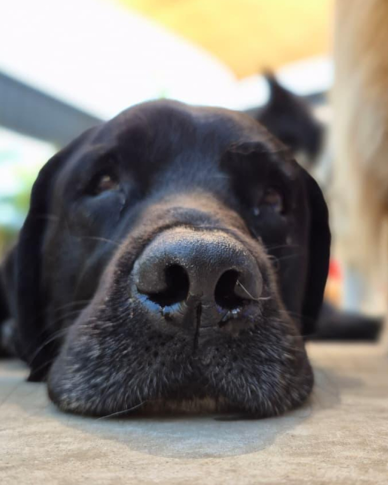 Carrossel - Ponto Club - 5