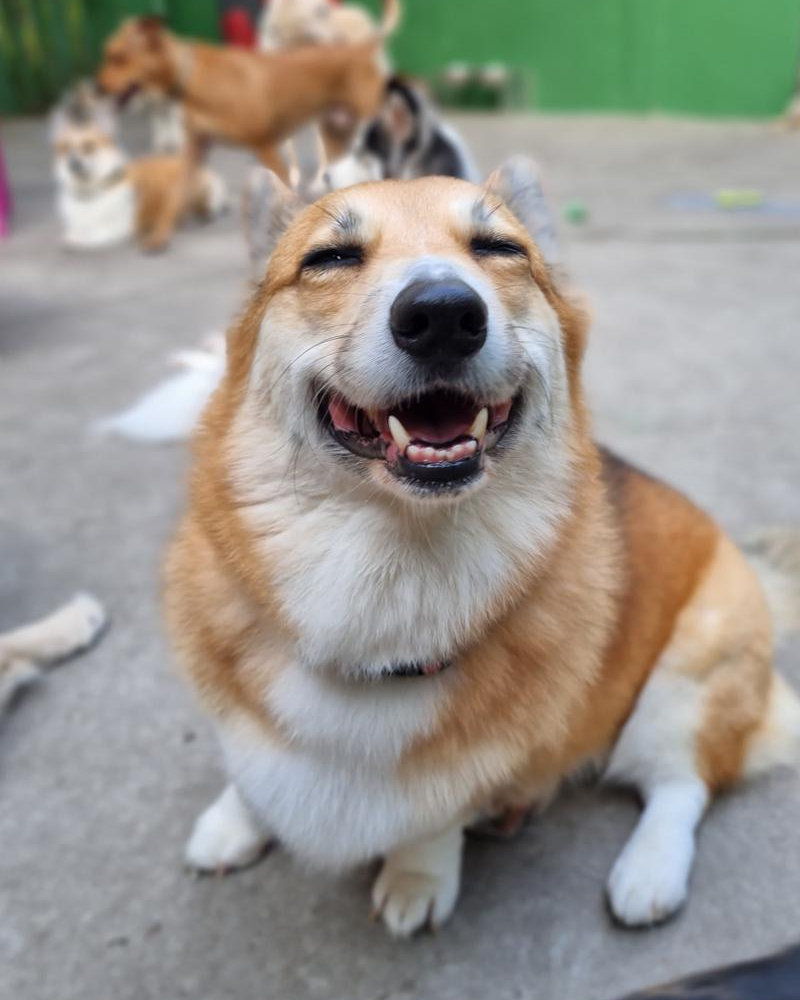 Carrossel - Ponto Club - 8