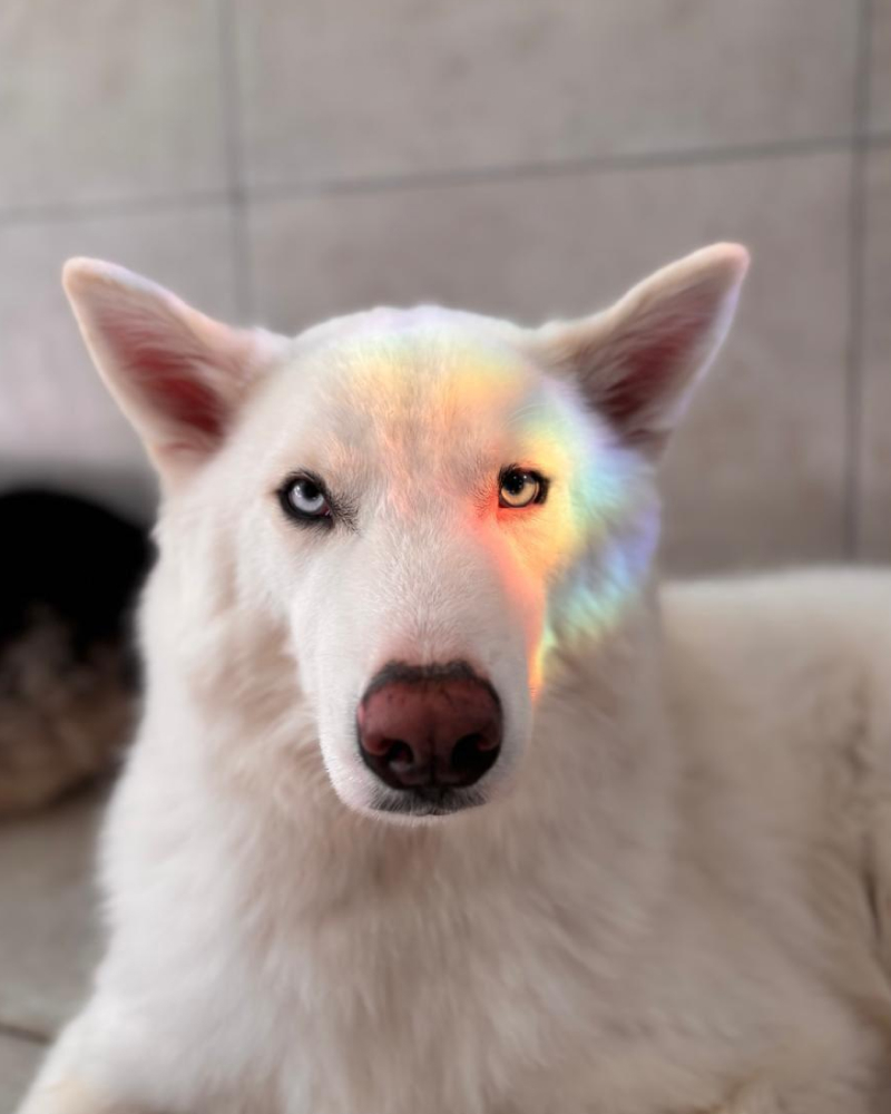 Carrossel - Ponto Club - 9